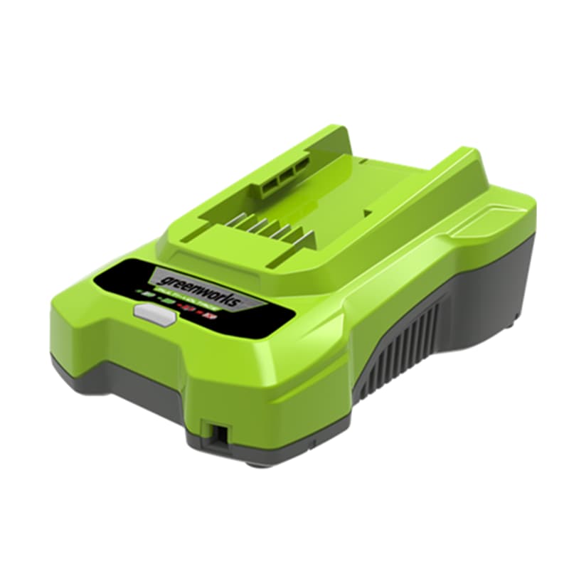 Зарядное устройство Greenworks 24V (2946407)