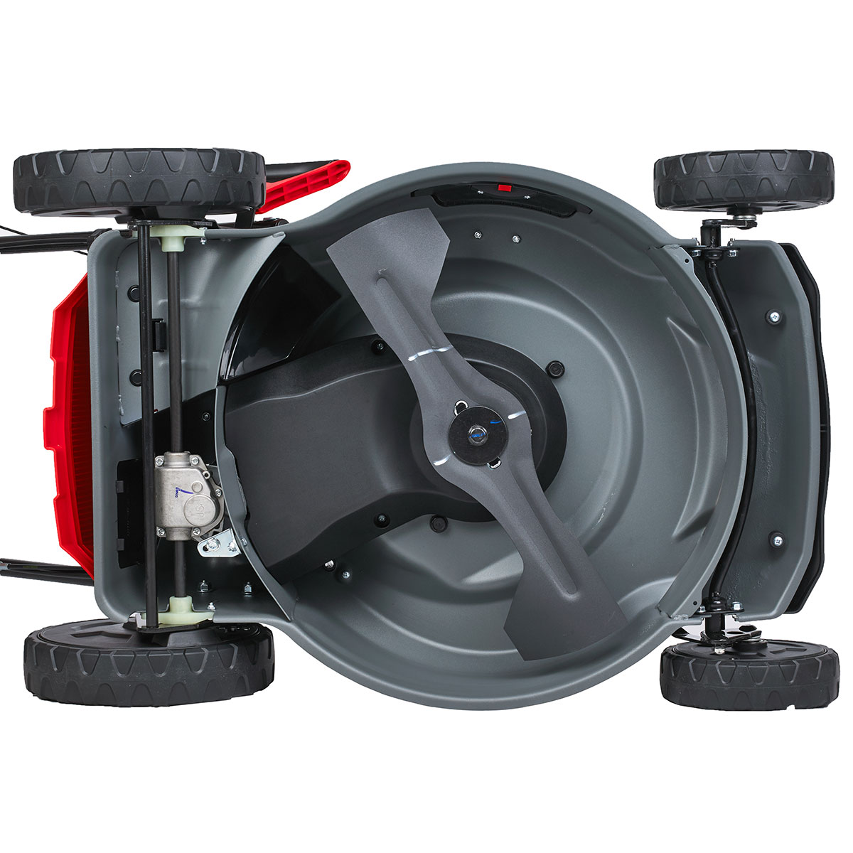 Газонокосилка бензиновая EVOline LMG 53 CVH (с двигателем Honda)