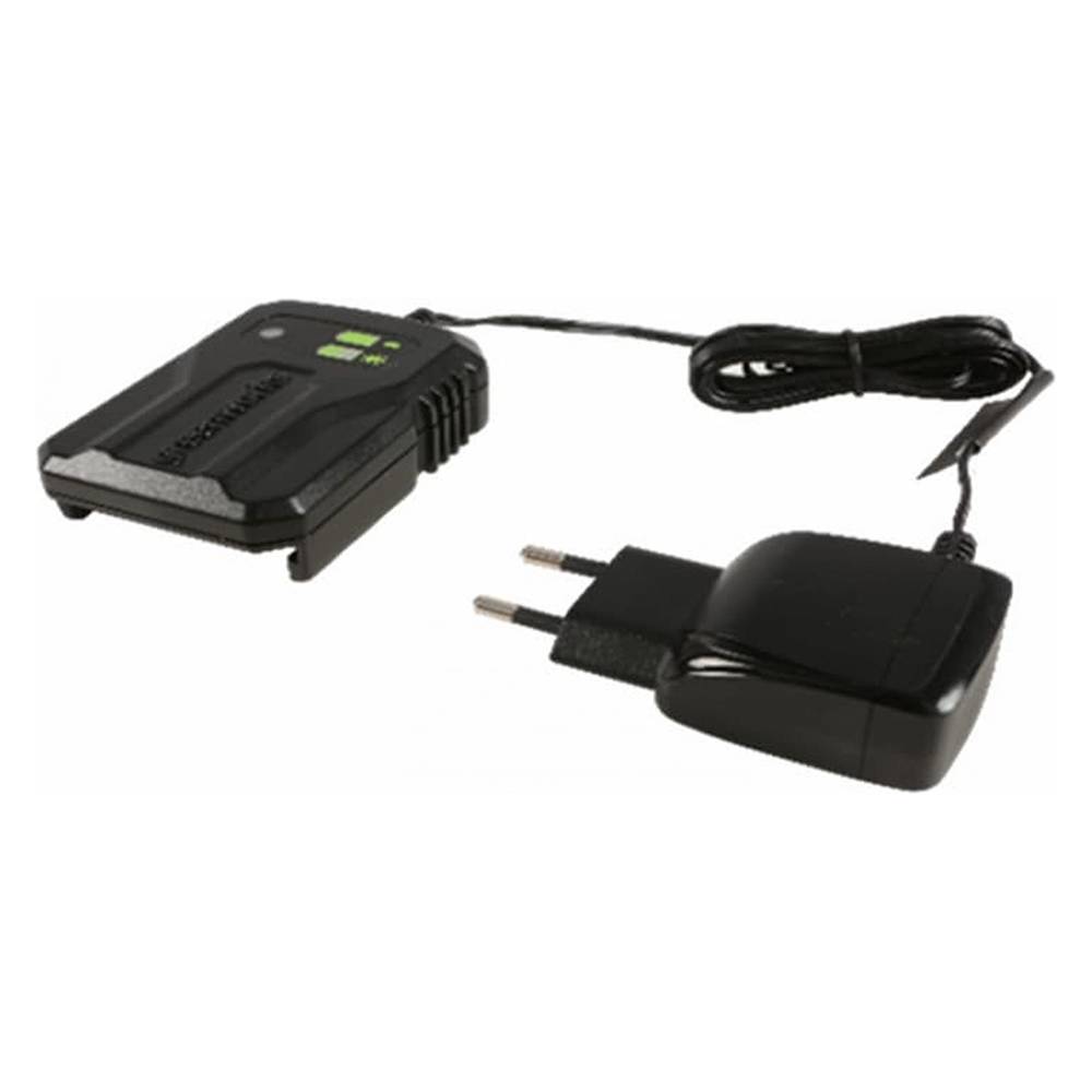 Зарядное устройство Greenworks GW 40В 2A (2946507)