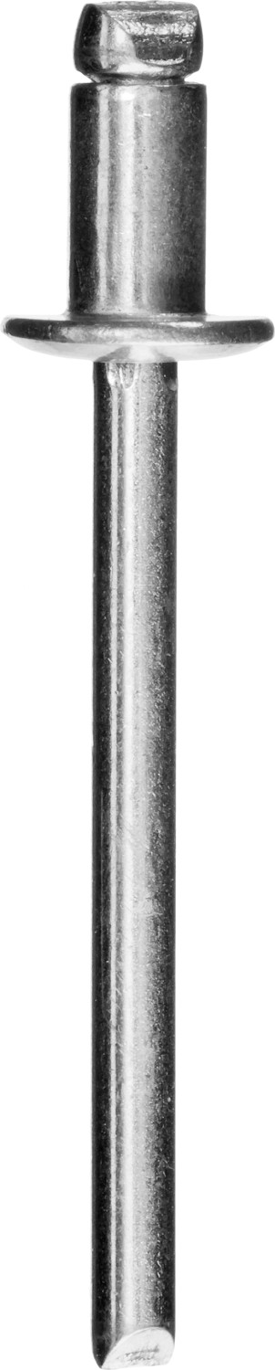 ЗУБР 4.8 x 12 мм, 500 шт, стальные заклепки, Профессионал (31313-48-12)