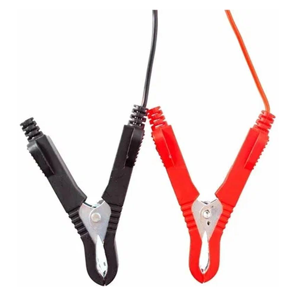 Устройство зарядное инверторного типа REDVERG RD-IC10R